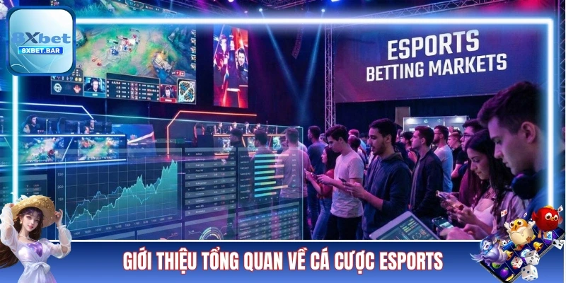 Giới thiệu tổng quan về loại hình cá cược Esports
