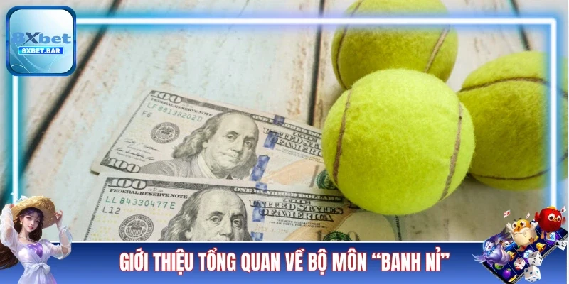 Giới thiệu tổng quan về bộ môn “banh nỉ”