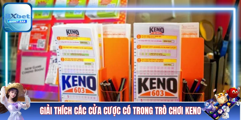 Giải thích các cửa cược có trong trò chơi Keno