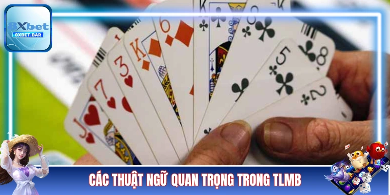Các thuật ngữ quan trọng trong TLMB